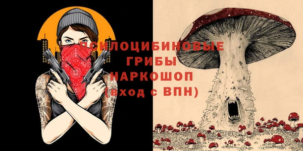 ECSTASY Абинск