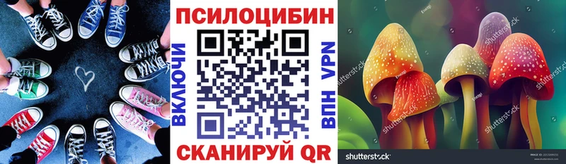Псилоцибиновые грибы Magic Shrooms  Ленинградская 